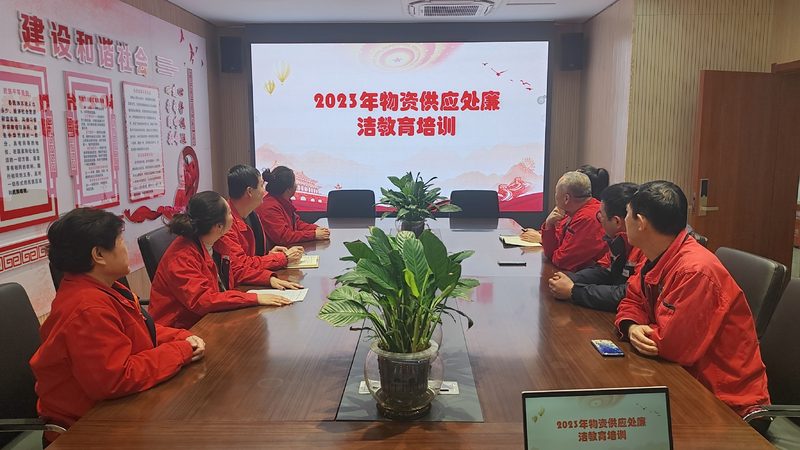 少儿编程课程体系揭秘：培养未来程序员的基石